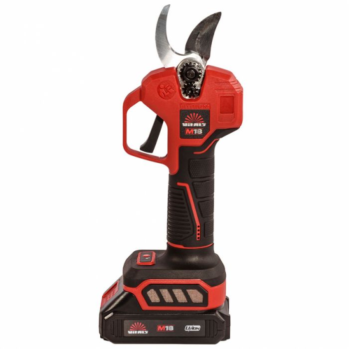Секатор акумуляторний Vitals Master AG 1825ck BL Kit